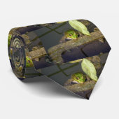 Aufpassende Krawatte des Frosches (Gerollt)