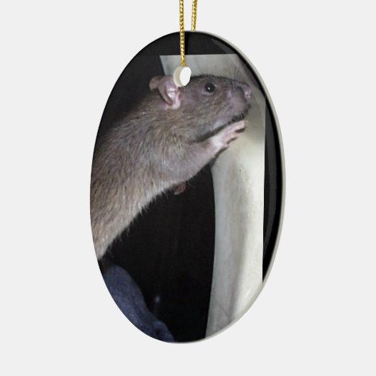 AUFPASSENDE RATTEN-VERZIERUNG KERAMIK ORNAMENT (Links)