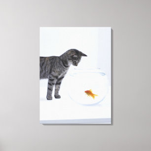 Aufpassender Goldfisch der neugierigen Katze im Leinwanddruck