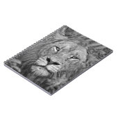 Aufpassender Löwe, Südafrika Notizblock (Linke Seite)