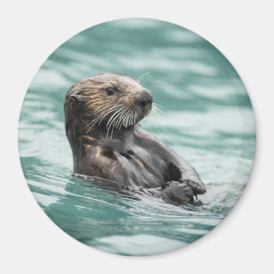 Aufpassender Seeotter Magnet