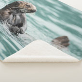Aufpassender Seeotter Sherpadecke (3/4)