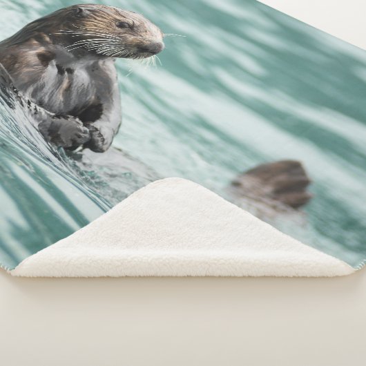 Aufpassender Seeotter Sherpadecke (3/4)