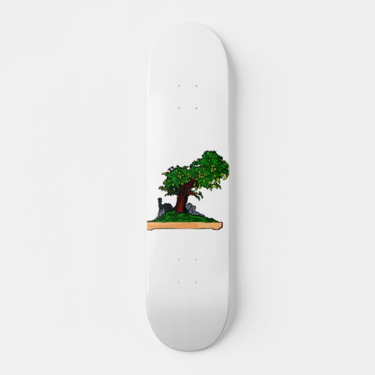 Aufrechter Baum Penjing Bonsais mit Felsen im Skateboard (Vorne)