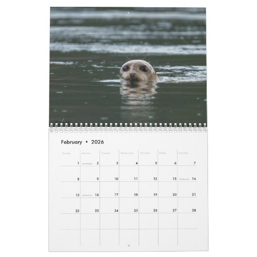 Aufrechterhaltung der Attraktionen 2025-2026 Kalender (Feb 2026)