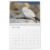 Aufrechterhaltung der Attraktionen 2025-2026 Kalender (Jan 2026)