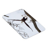 aufregend magnet (Rechte Seite)