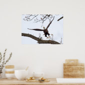 aufregend poster (Küche)