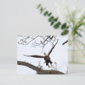 aufregend postkarte (Stehend Vorderseite)