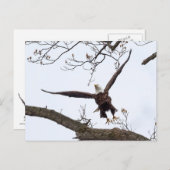 aufregend postkarte (Vorne/Hinten)