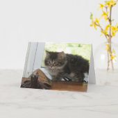 Aufregende Geburtstags-Wünsche Karte (Gelbe Blume)