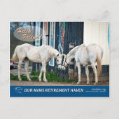 Aufregende Starlet-Postkarte Postkarte (Vorderseite)