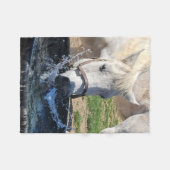 Aufregendes Eiswasserspiel Fleecedecke (Vorderseite (Horizontal))