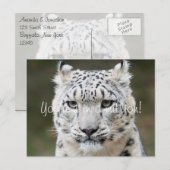 Aufrichtiger Schneeleopard Dankeschön Postkarte (Vorne/Hinten)