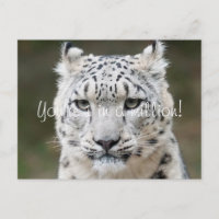 Aufrichtiger Schneeleopard Dankeschön