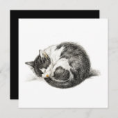 Aufrollende schlafende Katze (1825) (Vorne/Hinten)