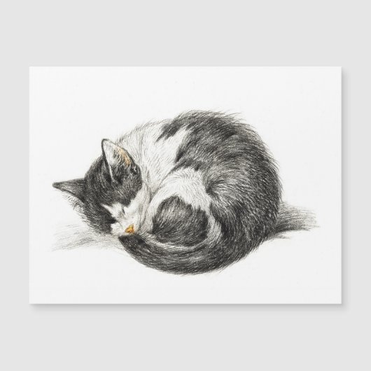 Aufrollende schlafende Katze (1825) Magnetkarte (Vorderseite)
