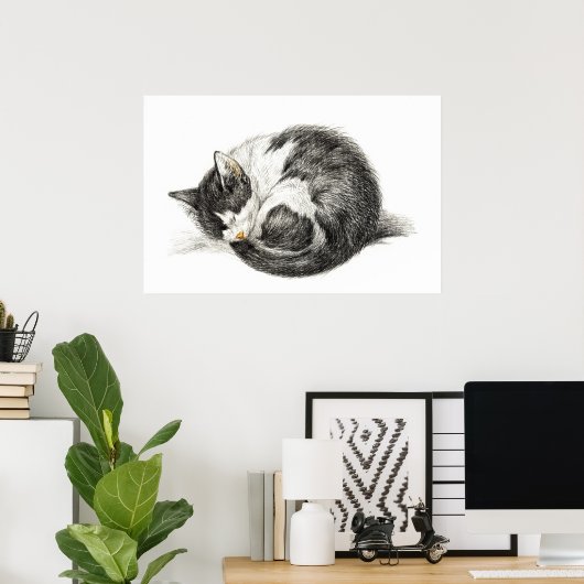 Aufrollende schlafende Katze (1825) Poster (Heimbüro)
