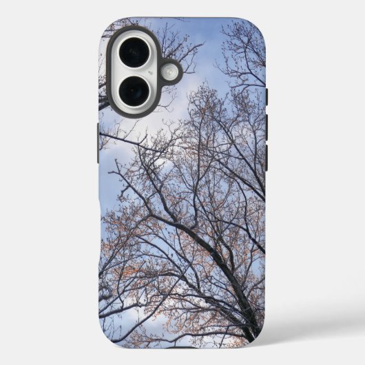 Aufschauen zu winterlichen Morgenbäumen Case-Mate iPhone Hülle (Rückseite)