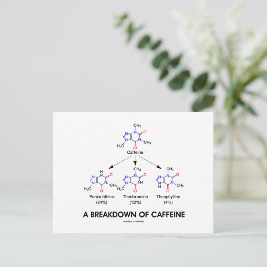 Aufschlüsselung von Koffein (chemische Moleküle) Postkarte (Stehend Vorderseite)