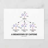 Aufschlüsselung von Koffein (chemische Moleküle) Postkarte (Vorderseite)