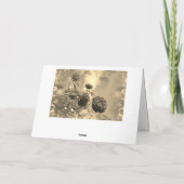 Aufsen Karte (Rückseite)