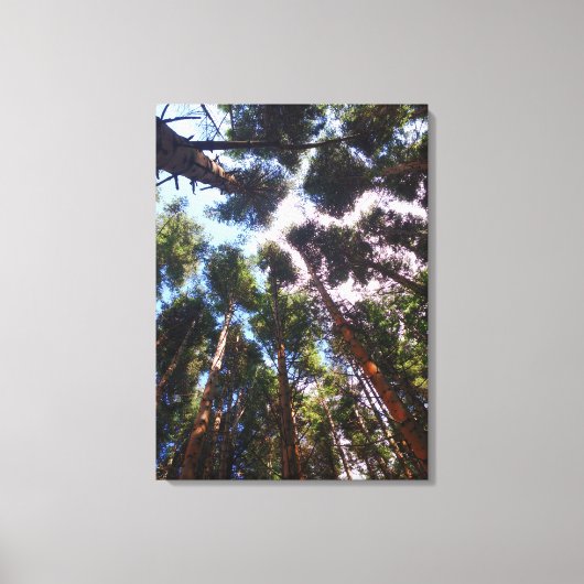 Aufstehen Leinwanddruck (Vorderseite)