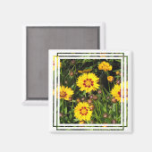 Aufsteigendes Sun Coreopsis Square Magnet (Vorderseite/Rückseite)