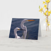 Aufstellung der Reiher Karte (Gelbe Blume)