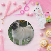 Aufstellung des Mops Pappteller (Party)