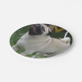 Aufstellung des Mops Pappteller (Schrägansicht)