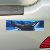 Aufstellung des Orca-Autoaufklebers Autoaufkleber (Auf Auto)