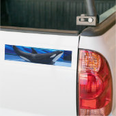 Aufstellung des Orca-Autoaufklebers Autoaufkleber (Auf Lkw)