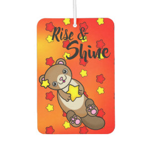 Aufstieg und Shine Kleine farbenfrohe Sterne und O Autolufterfrischer