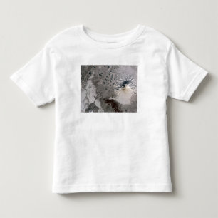 Aufstiege einer Aschenreich-Feder Kleinkind T-shirt