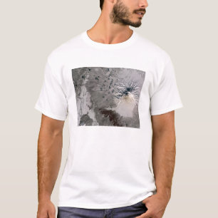Aufstiege einer Aschenreich-Feder T-Shirt