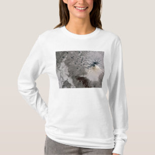 Aufstiege einer Aschenreich-Feder T-Shirt