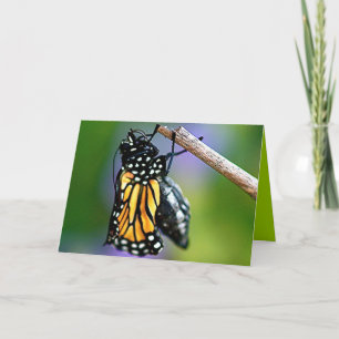 Auftauchender Schmetterling Karte