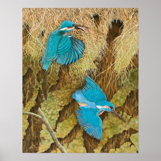 Aufteilung des Gekümmert Jahres 2011 Poster (Vorne)