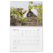 Aufwachsen des EAGLE-Kalenders Kalender (Feb 2027)