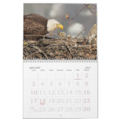 Aufwachsen des EAGLE-Kalenders Kalender (Jan 2027)