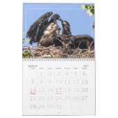 Aufwachsen des EAGLE-Kalenders Kalender (Mär 2027)
