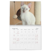 Aufwachsen des siamesischen Kalenders Kalender (Feb 2026)