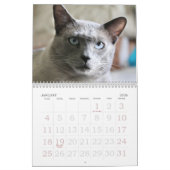 Aufwachsen des siamesischen Kalenders Kalender (Jan 2026)