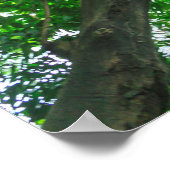 Aufwärts Ansicht der Bäume Poster (Ecke)