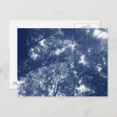 Aufwärts in den Bäumen - Cyanotypeffekt Postkarte (Vorne/Hinten)
