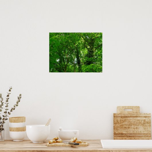 Aufwärts in den Bäumen Poster (Küche)