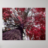 Aufwärts Poster (Vorne)