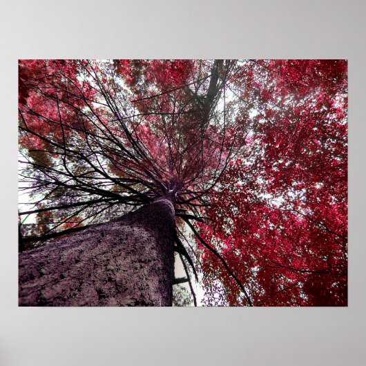 Aufwärts Poster (Vorne)