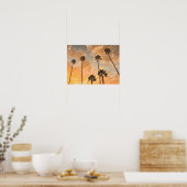 Aufwärts Sicht auf Palmen Poster (Küche)